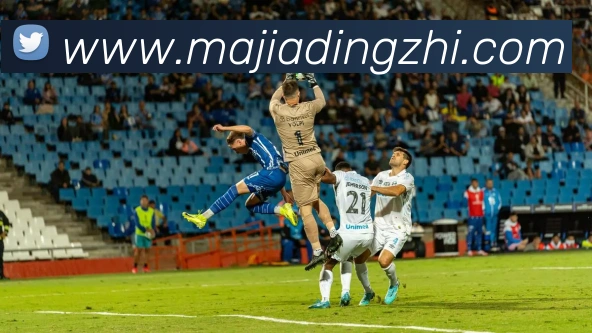 世界杯开户平台平台生态图